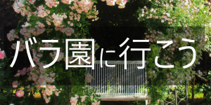 バラ園に行こう３