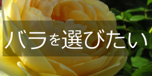 %e3%83%90%e3%83%a9%e9%81%b8%e3%81%b3%ef%bc%95