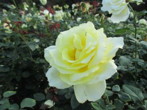 %e3%82%a8%e3%83%aa%e3%83%8a