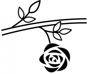 つるバラ一輪咲き