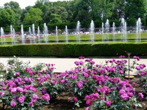 jindaisyokubutukouensabo