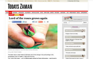 zaman%e9%bb%92%e3%83%90%e3%83%a9