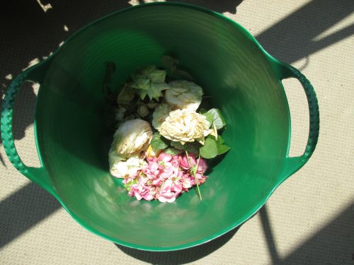 %e3%82%bd%e3%83%95%e3%83%88%e3%83%90%e3%82%b1%e3%83%84