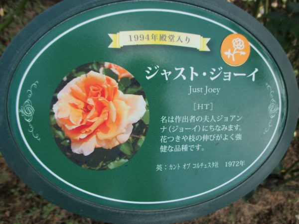 %e7%94%9f%e7%94%b0%e7%b7%91%e5%9c%b0%e3%83%90%e3%83%a9%e8%8b%91%e3%83%8d%e3%83%bc%e3%83%a0%e3%83%97%e3%83%ac%e3%83%bc%e3%83%88%ef%bc%92