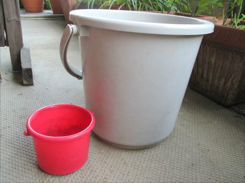 %e3%83%90%e3%82%b1%e3%83%84