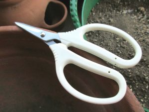 %e4%b8%87%e8%83%bd%e3%83%90%e3%82%b5%e3%83%9f