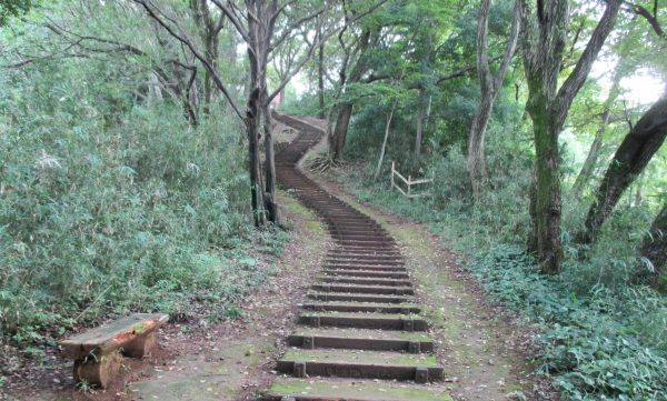 %e7%94%9f%e7%94%b0%e7%b7%91%e5%9c%b0%ef%bc%92