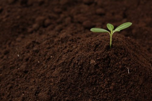 %e5%9c%9f%ef%bd%81%ef%bd%83