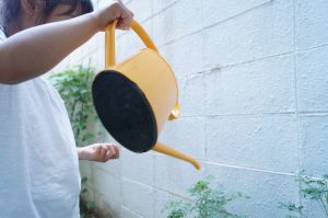 %e6%b0%b4%e3%82%84%e3%82%8a%ef%bd%81%ef%bd%83