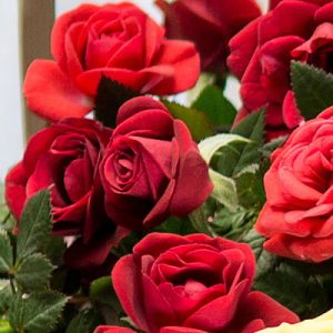 %e3%83%9d%e3%83%bc%e3%83%ab%e3%82%bb%e3%83%b3%e3%83%9f%e3%83%8b%e3%83%90%e3%83%a9%e6%a5%bd%e5%a4%a9