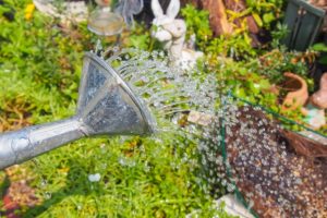 %e6%b0%b4%e3%82%84%e3%82%8a2%ef%bd%81%ef%bd%83