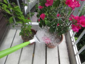 %e6%b0%b4%e3%82%84%e3%82%8a%ef%bc%93%ef%bd%81%ef%bd%83