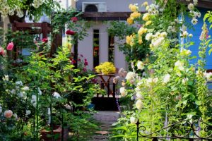 %e3%83%90%e3%83%a9%e5%ba%ad%ef%bd%81%ef%bd%83