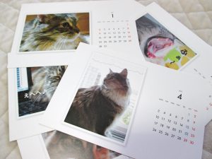 %e3%81%bd%e3%82%93%e3%82%ab%e3%83%ac%e3%83%b3%e3%83%80%e3%83%bc