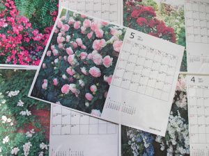 %e3%83%90%e3%83%a9%e3%82%ab%e3%83%ac%e3%83%b3%e3%83%80%e3%83%bc