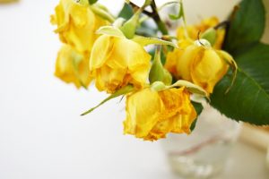 %e3%81%97%e3%81%8a%e3%82%8c%e3%81%9f%e3%83%90%e3%83%a9%ef%bd%81%ef%bd%83