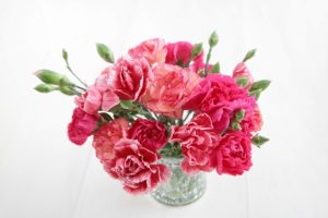 %e3%82%ab%e3%83%bc%e3%83%8d%e3%83%bc%e3%82%b7%e3%83%a7%e3%83%b3%ef%bd%81%ef%bd%83