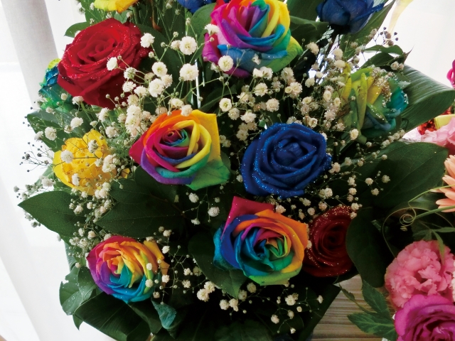 %e3%83%ac%e3%82%a4%e3%83%b3%e3%83%9c%e3%83%bc%e3%83%ad%e3%83%bc%e3%82%ba%ef%bd%81%ef%bd%83