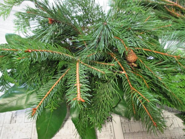 %e3%83%90%e3%82%b9%e3%82%b1%e3%83%83%e3%83%88%e3%82%a2%e3%83%ac%e3%83%b3%e3%82%b8%e3%83%a1%e3%83%b3%e3%83%88%ef%bc%93