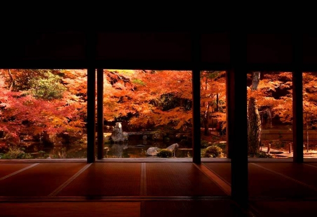 %e5%ae%9f%e7%9b%b8%e9%99%a2%ef%bd%81%ef%bd%83