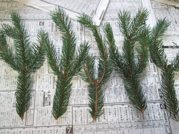 %e3%83%aa%e3%83%bc%e3%82%b9%e3%81%ae%e4%bd%9c%e3%82%8a%e6%96%b9%ef%bc%91