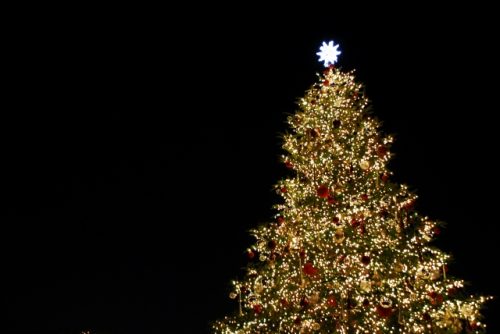 %e3%82%af%e3%83%aa%e3%82%b9%e3%83%9e%e3%82%b9%e3%83%84%e3%83%aa%e3%83%bc%ef%bc%92%ef%bd%81%ef%bd%83