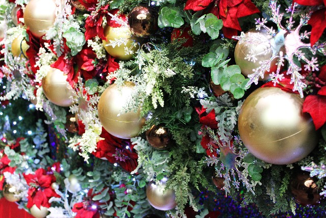クリスマス飾りのもつ意味から クリスマスの長い歴史が見えてくる 今年のクリスマスは知的好奇心も満足させよう バラと小さなガーデンづくり