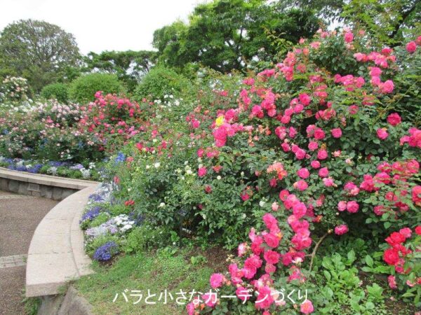 港の見える公園