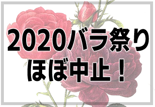 年春のバラ園は開園する バラ祭りは開催する それとも中止 バラと小さなガーデンづくり