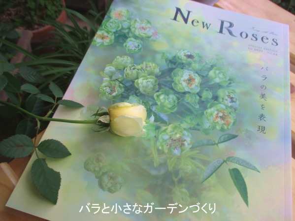 New Roses 年秋号 Vol 28 が発売 その内容は バラと小さなガーデンづくり