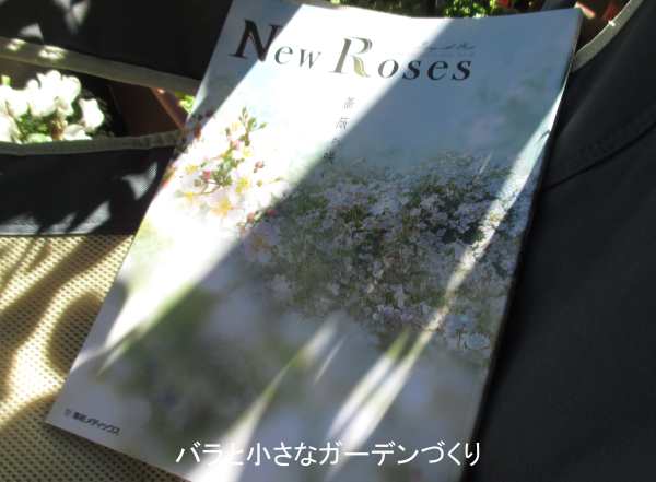 New Roses 21年秋号 Vol 30発売 気になる記事を少しだけご紹介 バラと小さなガーデンづくり