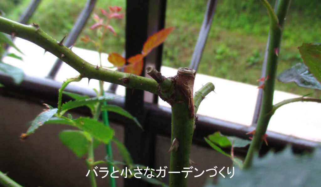 ハードピンチ後