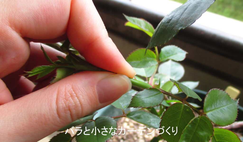 シュート処理１