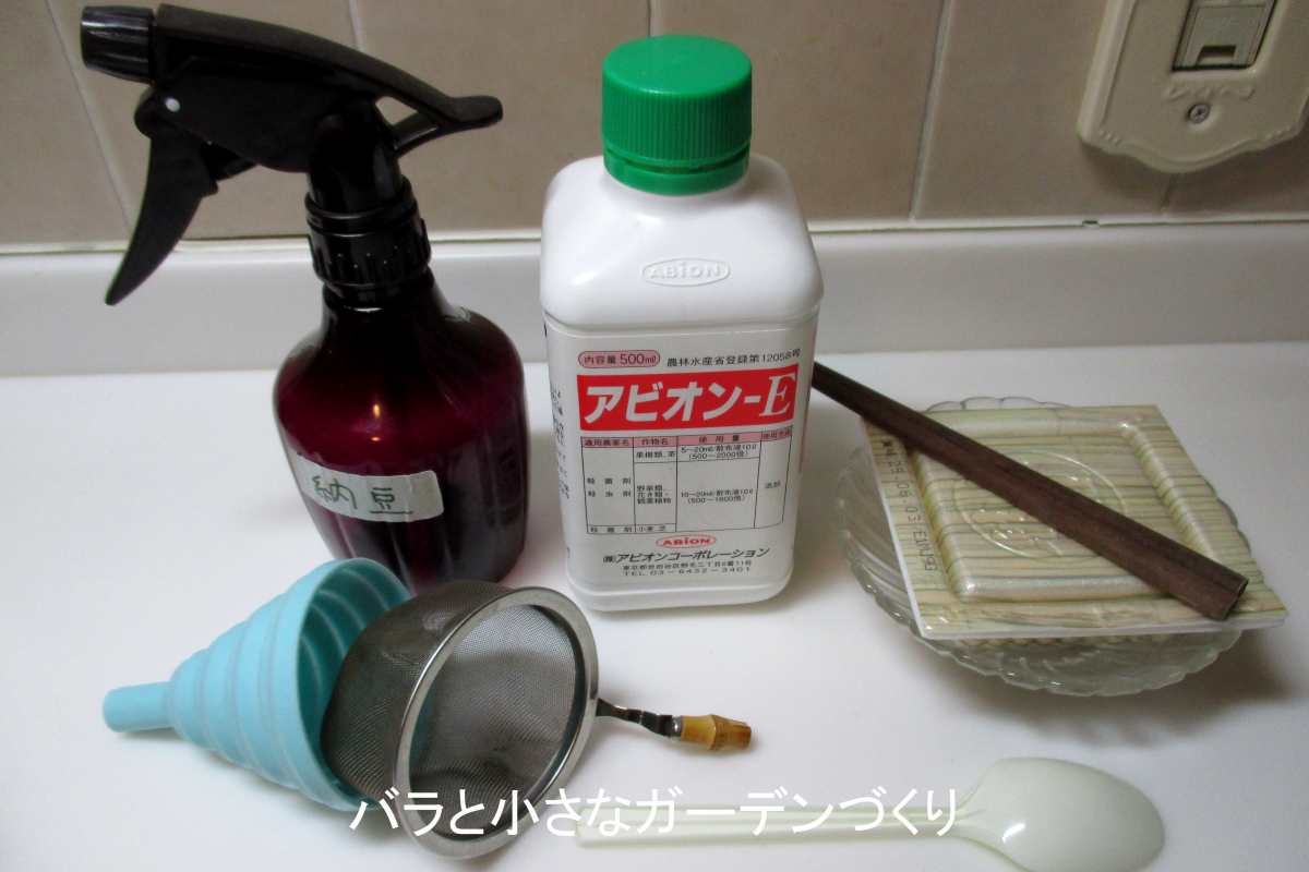 バラのウドンコ病予防に納豆菌は効く？実験で分かった驚きの効果【バラ栽培いつか無農薬】