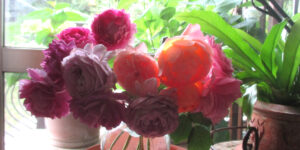 4、バラのある暮らしの楽しみ方｜自分スタイルで広がる趣味の世界