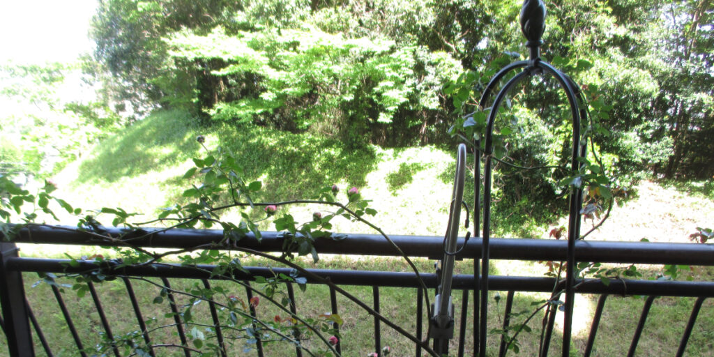 ベランダの日当たりを確認する