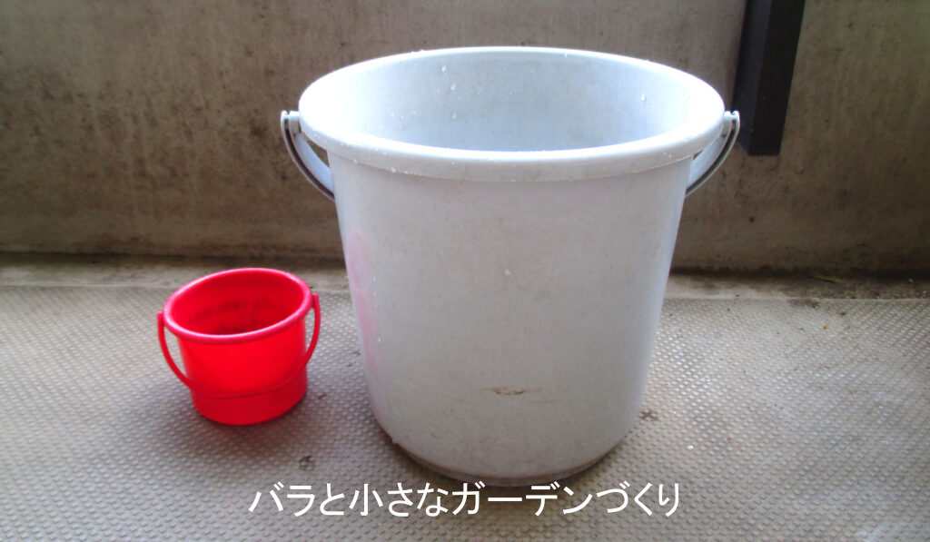 大小の水やりバケツ