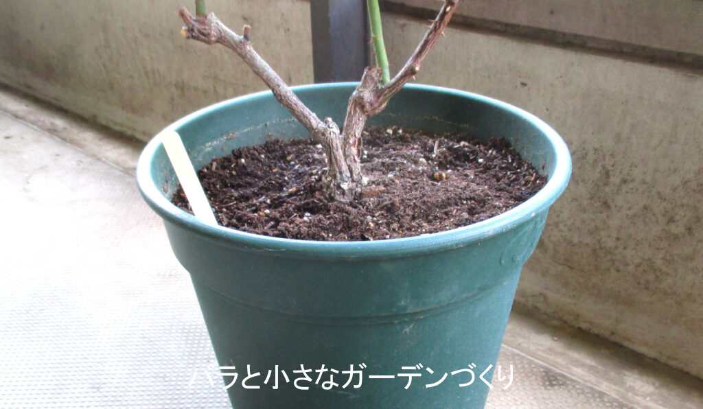 ウォータースペース