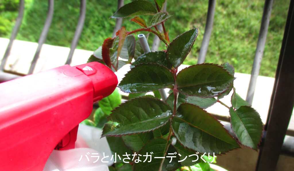 ベニカXネクストスプレーの使い方