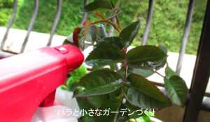 初心者向けハンドスプレー農薬の使い方｜安全に使うための5つのルール