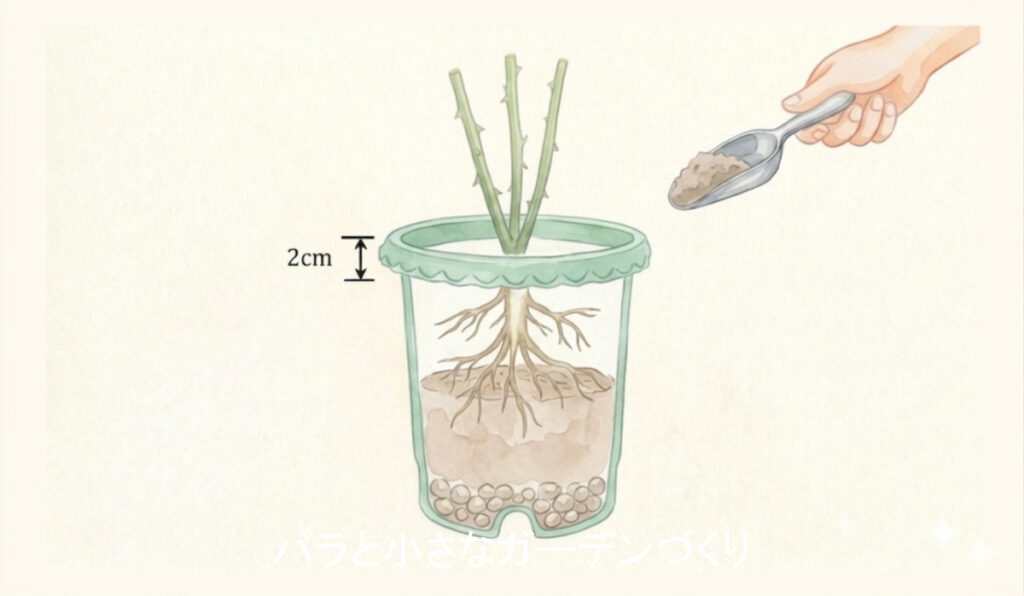 大苗の植え方ー２