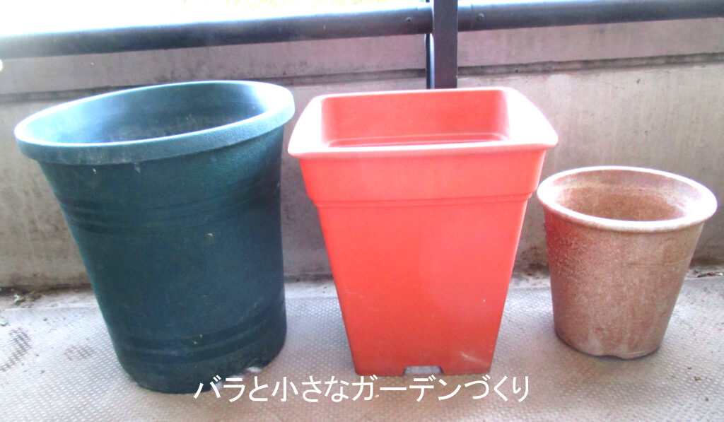 バラの鉢３種類（６号、８号、１０号）