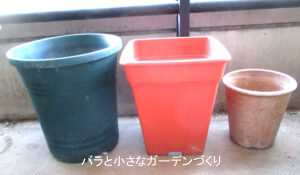 バラの鉢の選び方｜迷ったら8号ロングポットでOK【形・素材・サイズを解説】