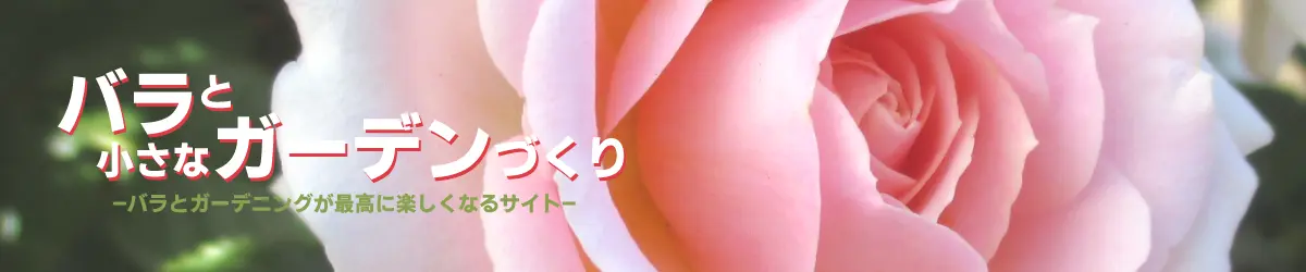 バラと小さなガーデンづくり
