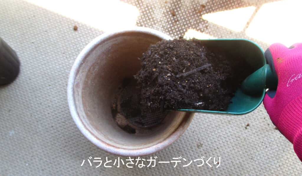 鉢底ネットとバラの土を少し入れる