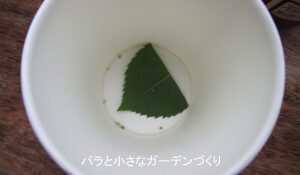 実験2
