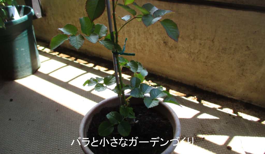 支柱を立てる