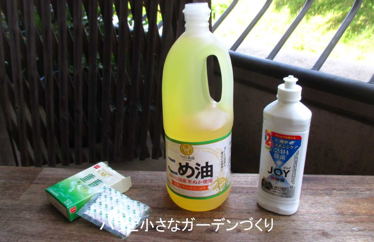 バラの重曹スプレー完全ガイド|ウドンコ病・アブラムシ・ハダニに効く「重曹オイルスプレー」の作り方