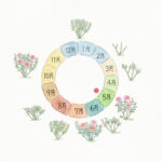 ５月のバラのサイクル図