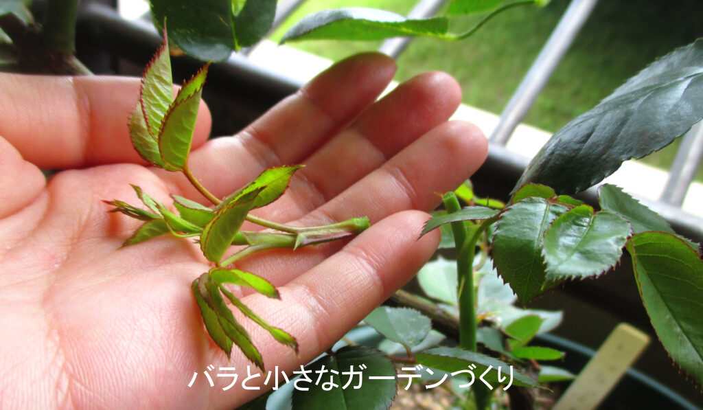 シュート処理のしかた